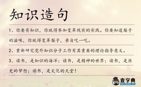 知識造句