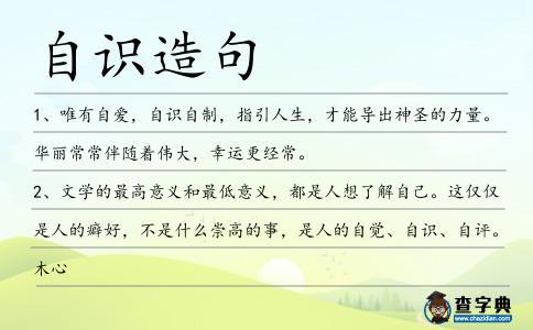 自識造句