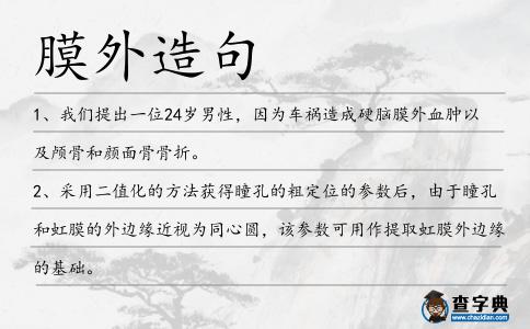 膜外造句