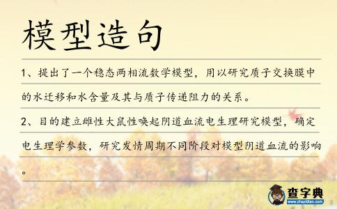 模型造句