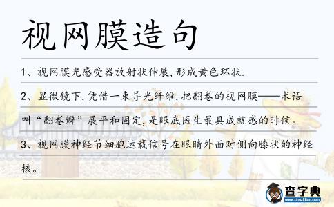 視網膜造句