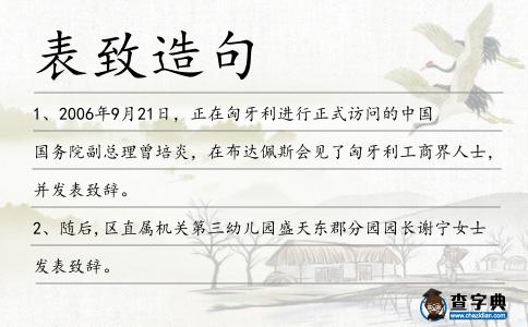 表致造句
