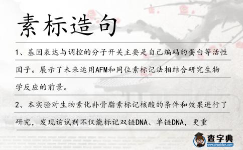 素標造句