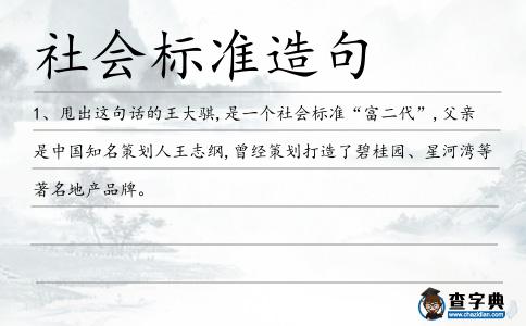 社會標準造句