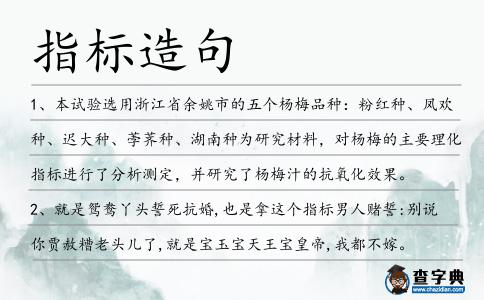 指標造句