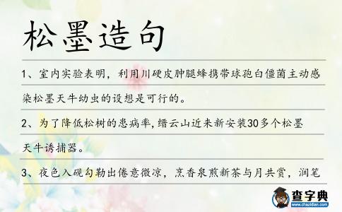 松墨造句