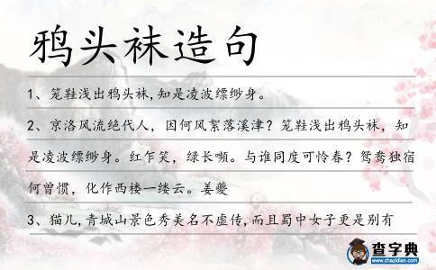 鴉頭襪造句