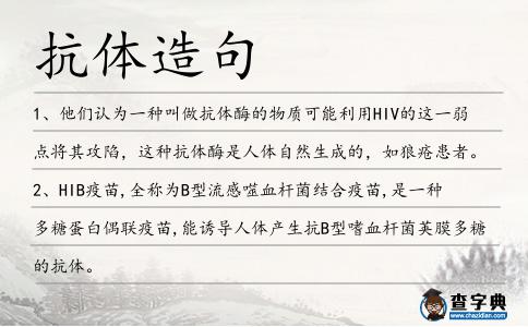 抗體造句