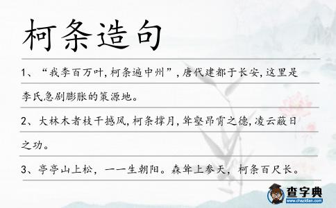 柯條造句