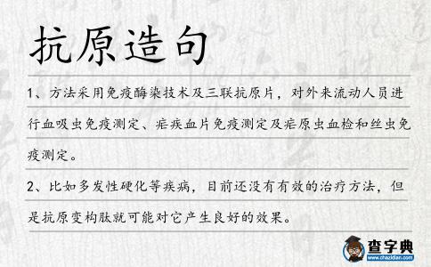 抗原造句