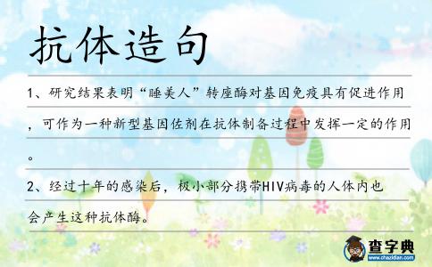 抗體造句