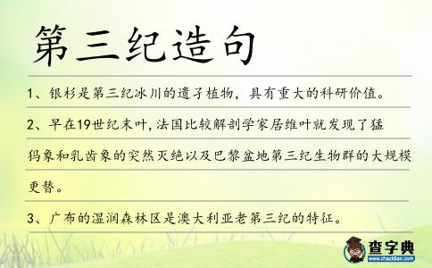 第三紀造句