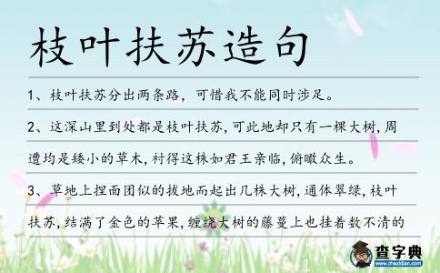 枝葉扶蘇造句