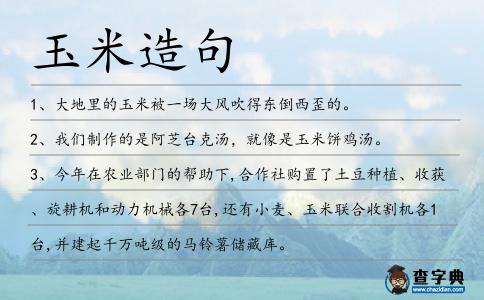 玉米造句