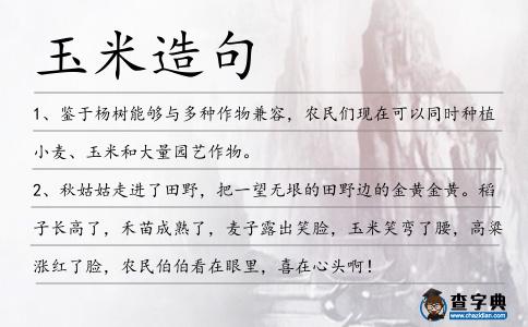 玉米造句