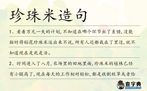 珍珠米造句