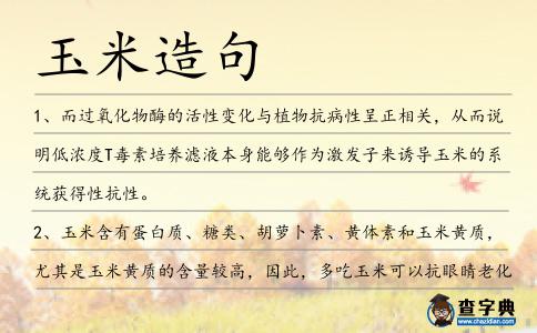 玉米造句