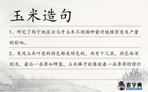 玉米造句
