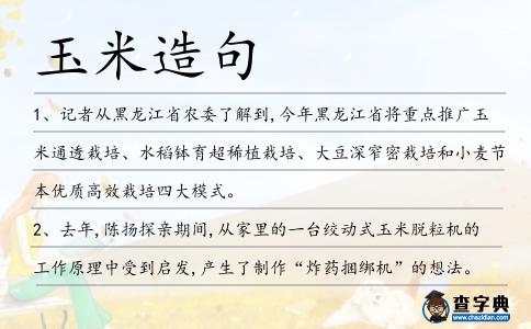 玉米造句