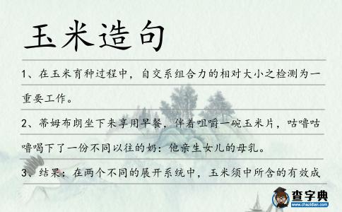 玉米造句