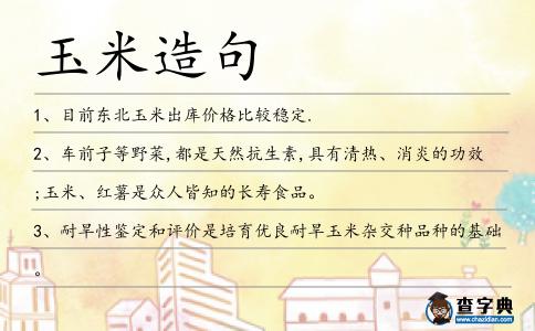 玉米造句