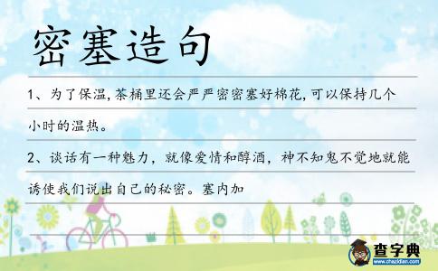 密塞造句