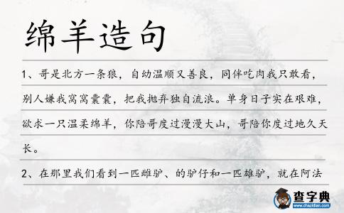綿羊造句