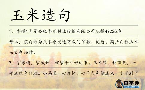 玉米造句