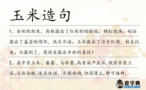 玉米造句