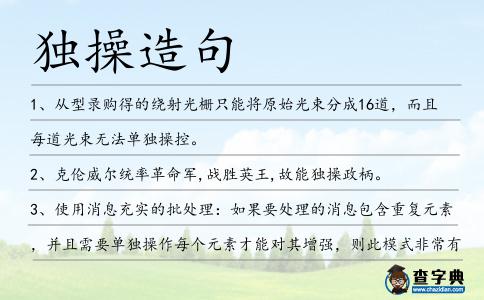 獨操造句