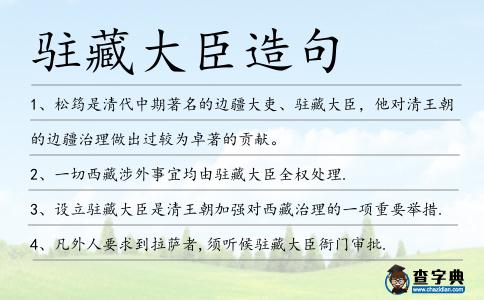 駐藏大臣造句