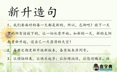 新升造句