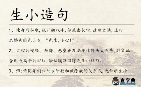 生小造句