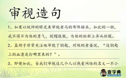 審視造句