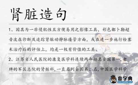 腎臟造句