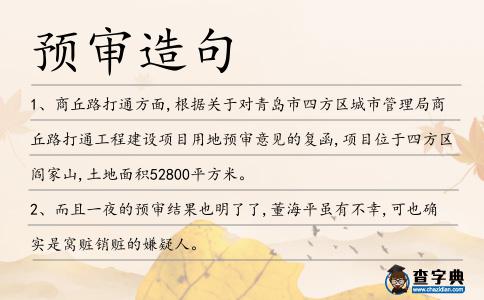 預審造句