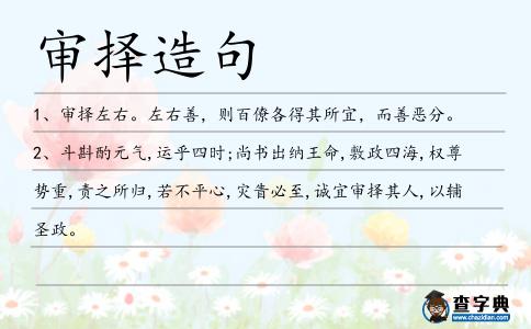 審擇造句