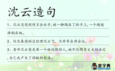 沈云造句
