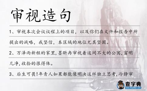 審視造句