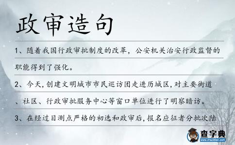 政審造句