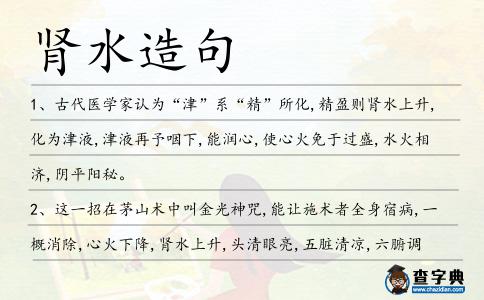 腎水造句