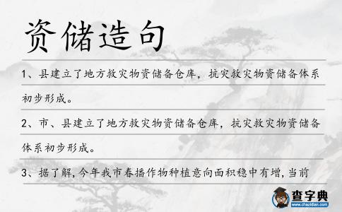 資儲造句