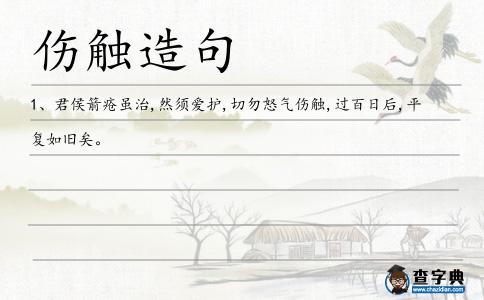 傷觸造句