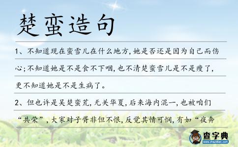 楚蠻造句