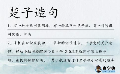 楚子造句