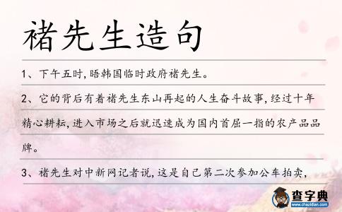 褚先生造句