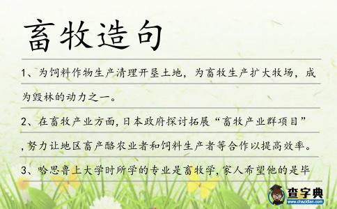 畜牧造句