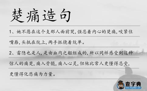 楚痛造句
