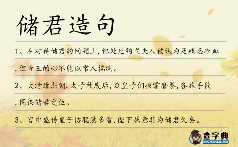 儲君造句