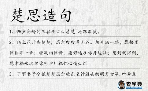 楚思造句